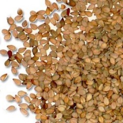 Huile végétale Sésame BIO