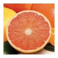 Huile essentielle Pamplemousse extra BIO 