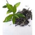 Parfum Thé vert