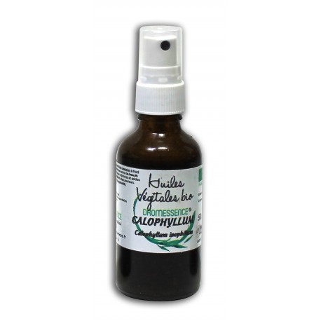 Huile végétale de Calophylle Inophyle BIO
