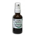 Huile végétale de Calophylle Inophyle BIO