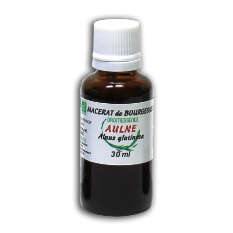 Macérât bio de bourgeons : Aulne glutineux