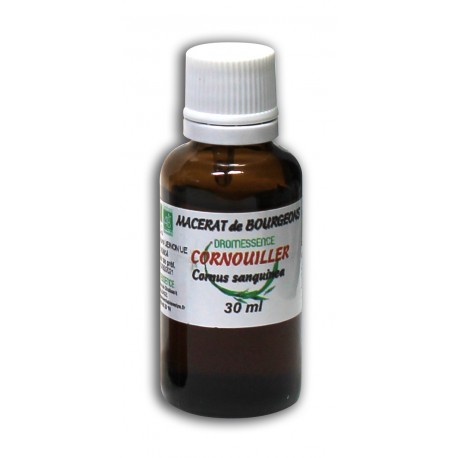 Macérât bio de bourgeons : Cornouiller sanguin