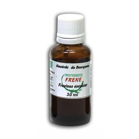 Macérât bio de bourgeons : Frêne
