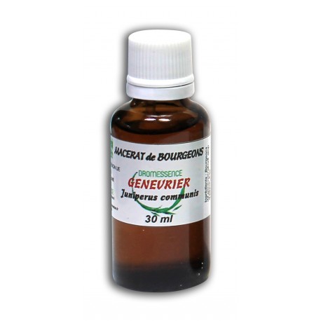 Macérât bio de bourgeons : Genévrier