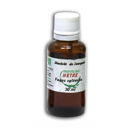 Macérât bio de bourgeons : Hêtre