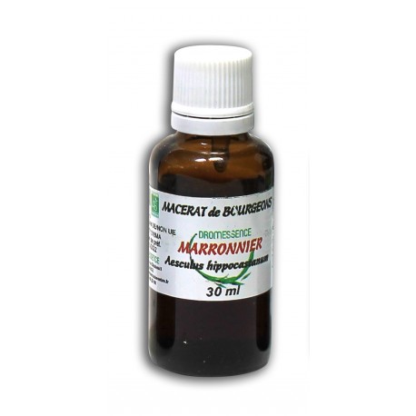 Macérât bio de bourgeons : Marronnier