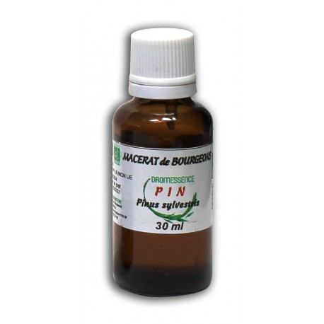 Macérât bio de bourgeons : Pin sylvestre