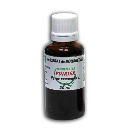 Macérât bio de bourgeons : Poirier