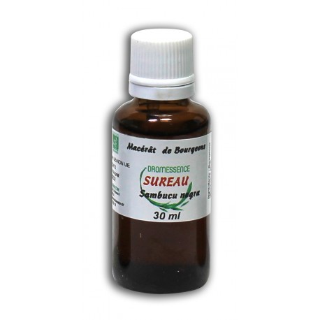 Macérât bio de bourgeons : Sureau