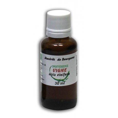 Macérât bio de bourgeons : Vigne rouge