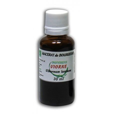 Macérât bio de bourgeons : Viorne