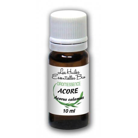 Huile essentielle Acore calamus bio 