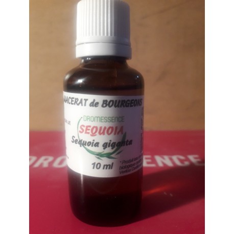 Macérât BIO de bourgeons : Sequoia DROMESSENCE