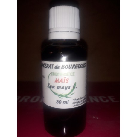 Macérât BIO de bourgeons : Mais DROMESSENCE