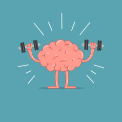 Complexe macérat de bourgeons BIO : Mémoire- DROMESSENCE