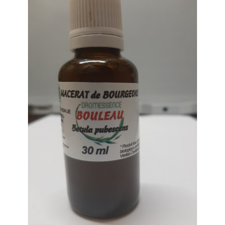 Macérât bio de bourgeons : Bouleau