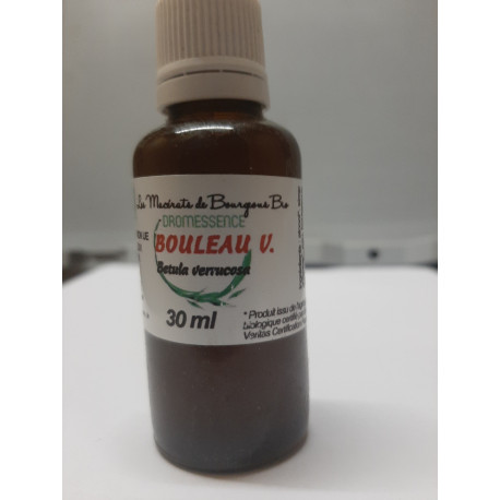 Macérât BIO de bourgeons : Bouleau Verruqueux D