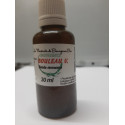 Macérât BIO de bourgeons : Bouleau Verruqueux D