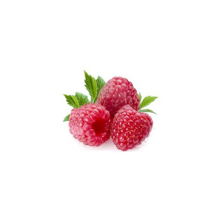 Huile végétale de grains de framboise rouge Dromessence