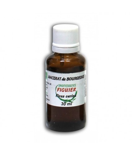 Macérât BIO de bourgeons de Figuier DROMESSENCE