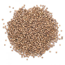 Huile essentielle Coriandre BIO