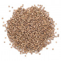 Huile essentielle Coriandre BIO