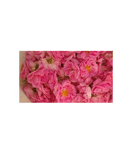 Huile essentielle Rose de mai  (Absolu )DROMESSENCE