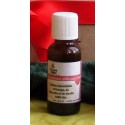 HUILE A DIFFUSER NOEL